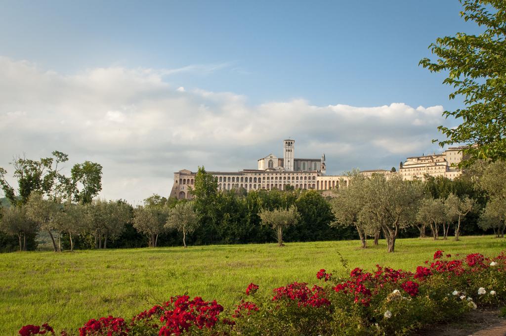 Assisi Garden Hotell Eksteriør bilde